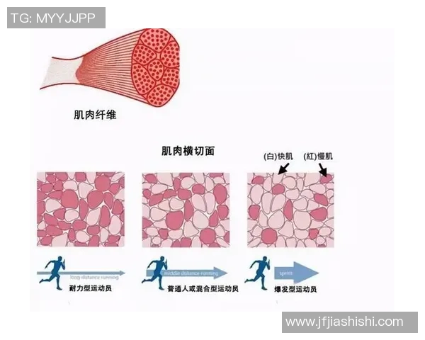 武汉与杭州篮球队的耐力对决赛后分析与反思
